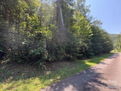 Lot 13 Wildflower Way Marion NC 28752