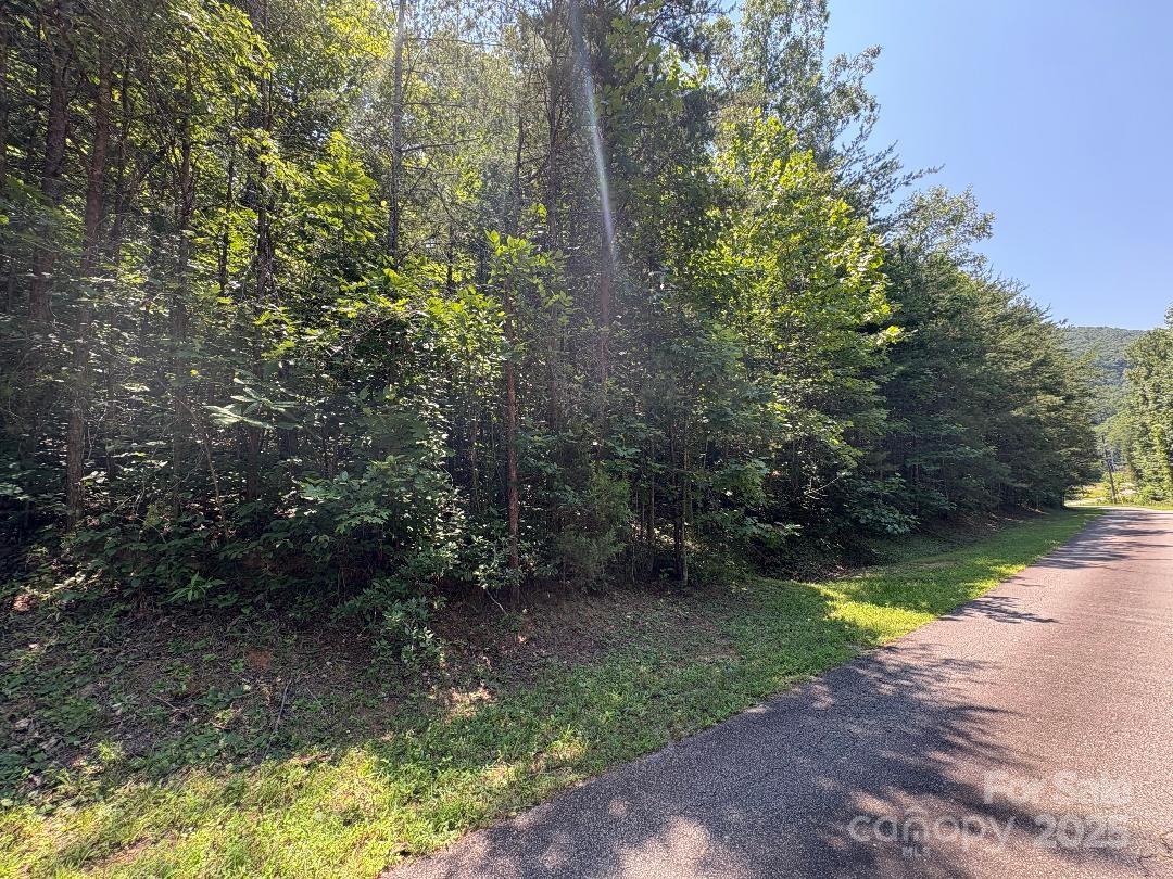 Lot 13 Wildflower Way Marion NC 28752
