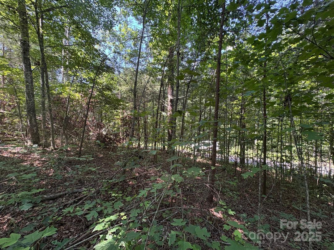 Lot 13 Wildflower Way Marion NC 28752