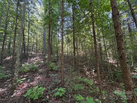 Lot 13 Wildflower Way Marion NC 28752