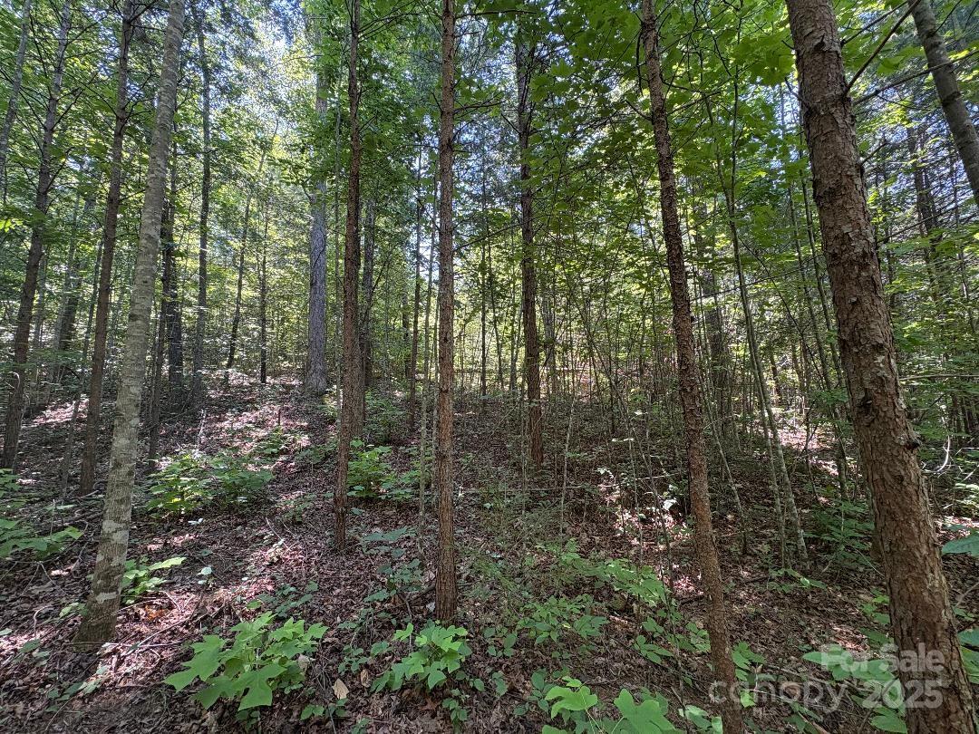 Lot 13 Wildflower Way Marion NC 28752