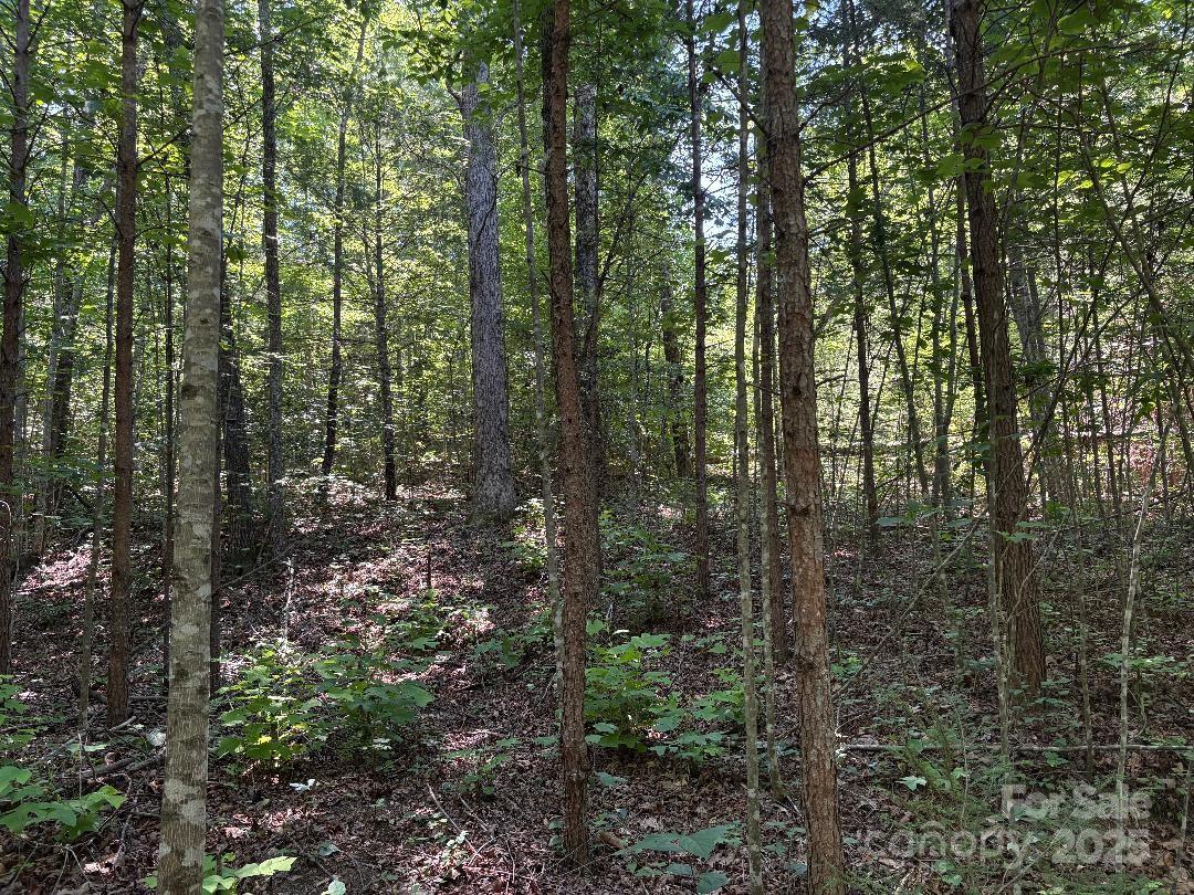 Lot 13 Wildflower Way Marion NC 28752