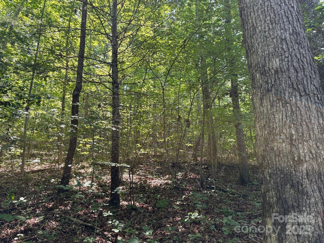 Lot 13 Wildflower Way Marion NC 28752