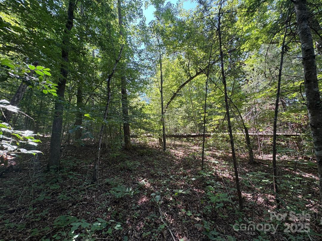 Lot 13 Wildflower Way Marion NC 28752