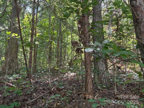 Lot 13 Wildflower Way Marion NC 28752