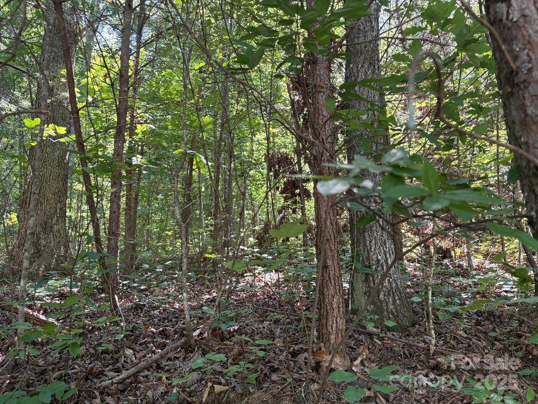 Lot 13 Wildflower Way Marion NC 28752