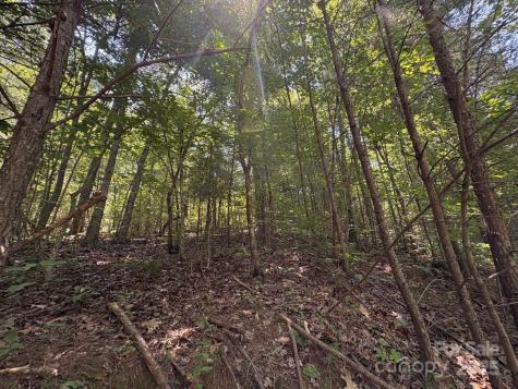 Lot 13 Wildflower Way Marion NC 28752