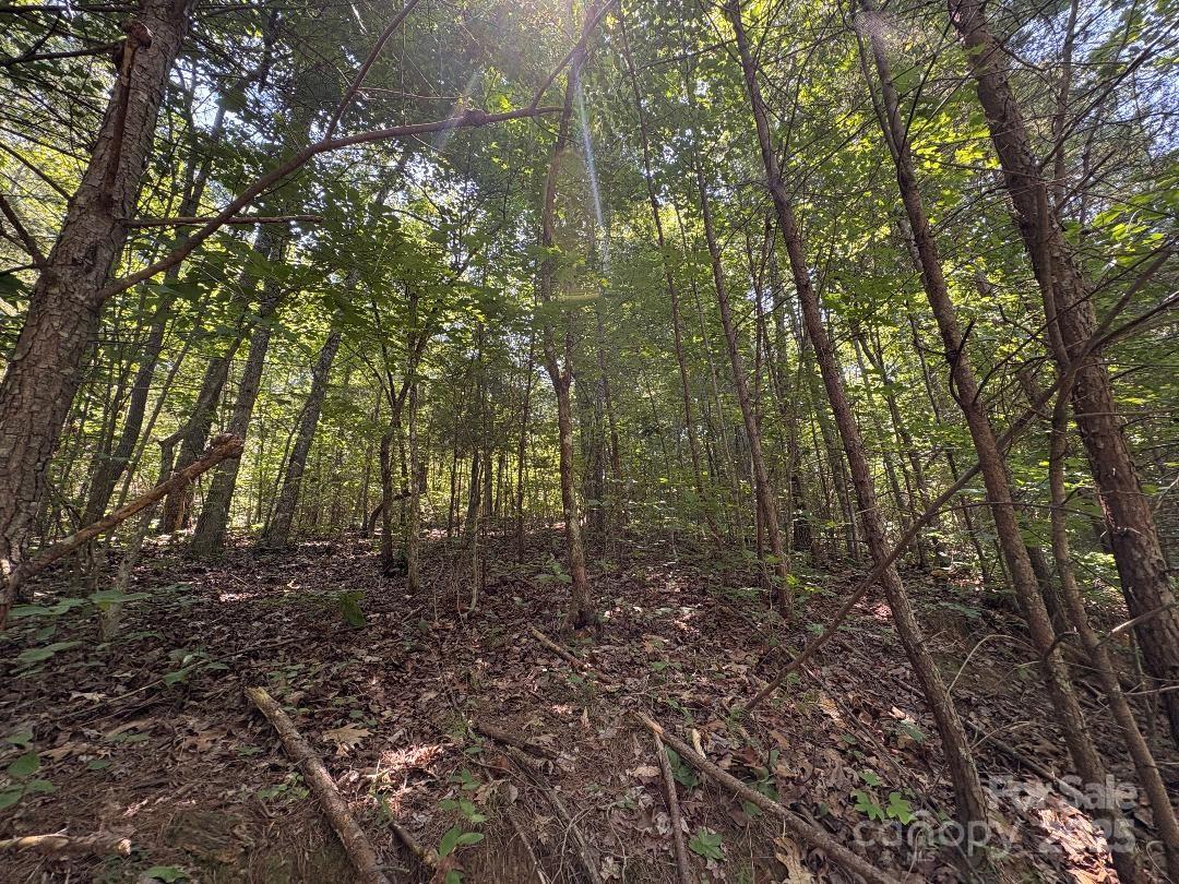 Lot 13 Wildflower Way Marion NC 28752