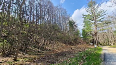 00000 Joe Bailey Road Fletcher NC 28732