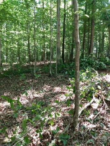 0 Winter Park Drive Shelby NC 28152