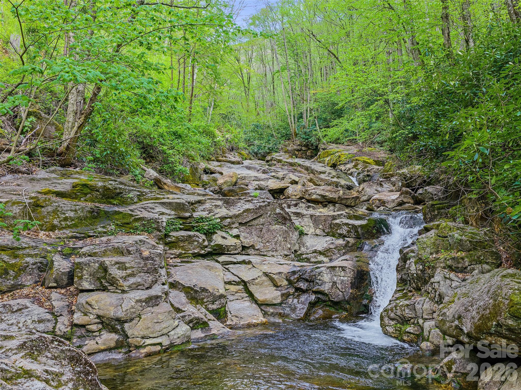 1161 Deep Gap Road Burnsville NC 28714