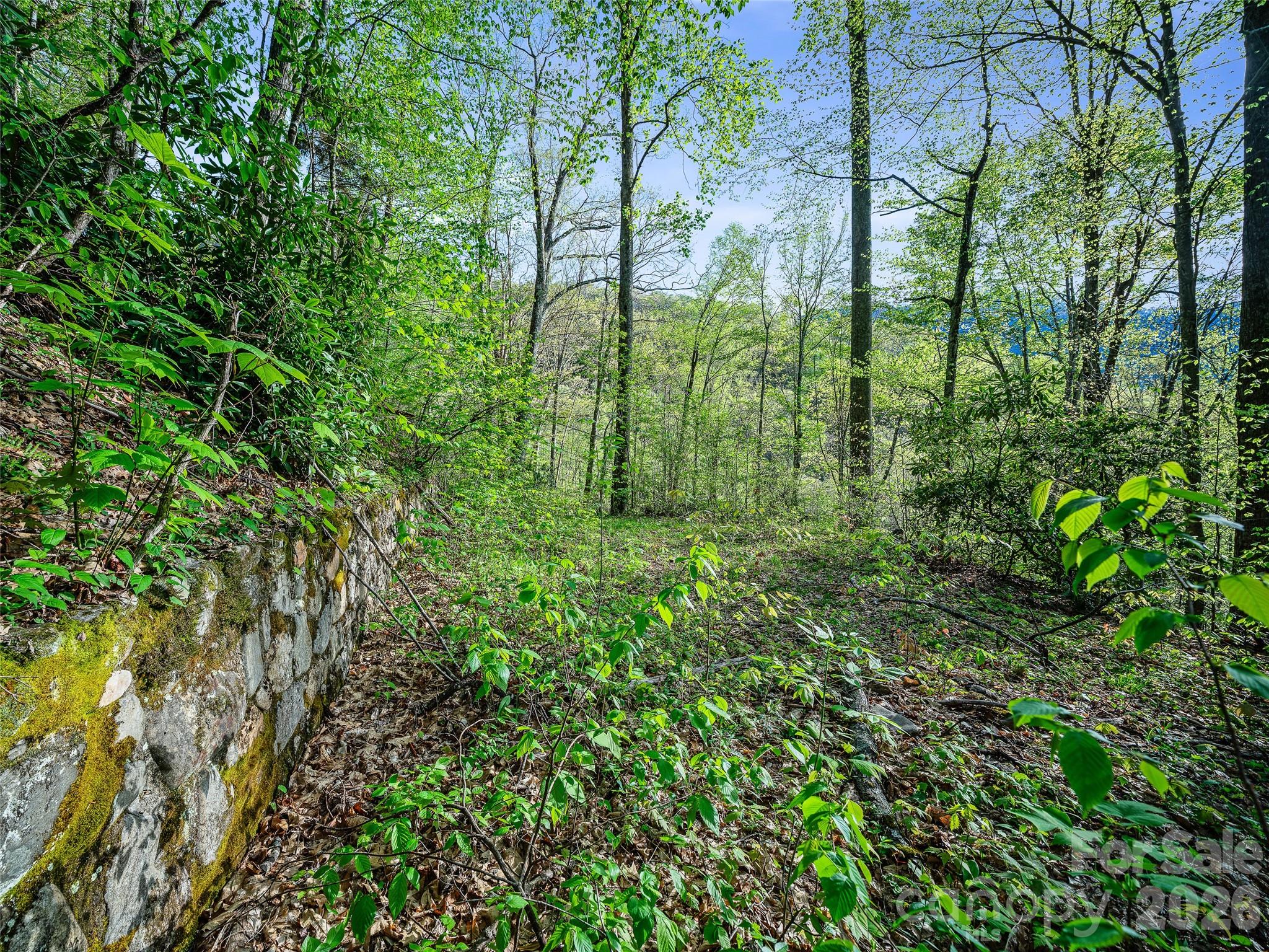 1161 Deep Gap Road Burnsville NC 28714