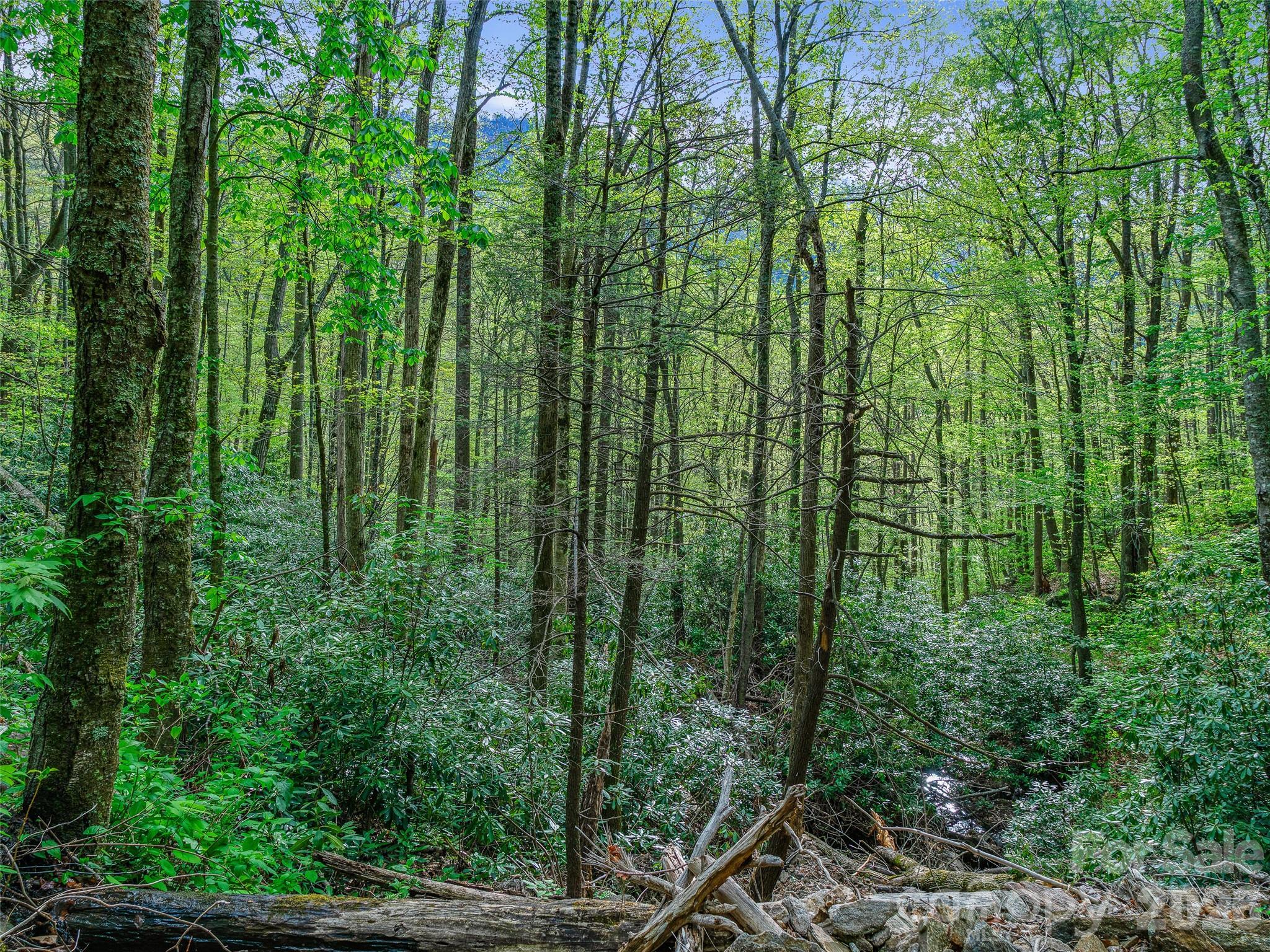 1161 Deep Gap Road Burnsville NC 28714