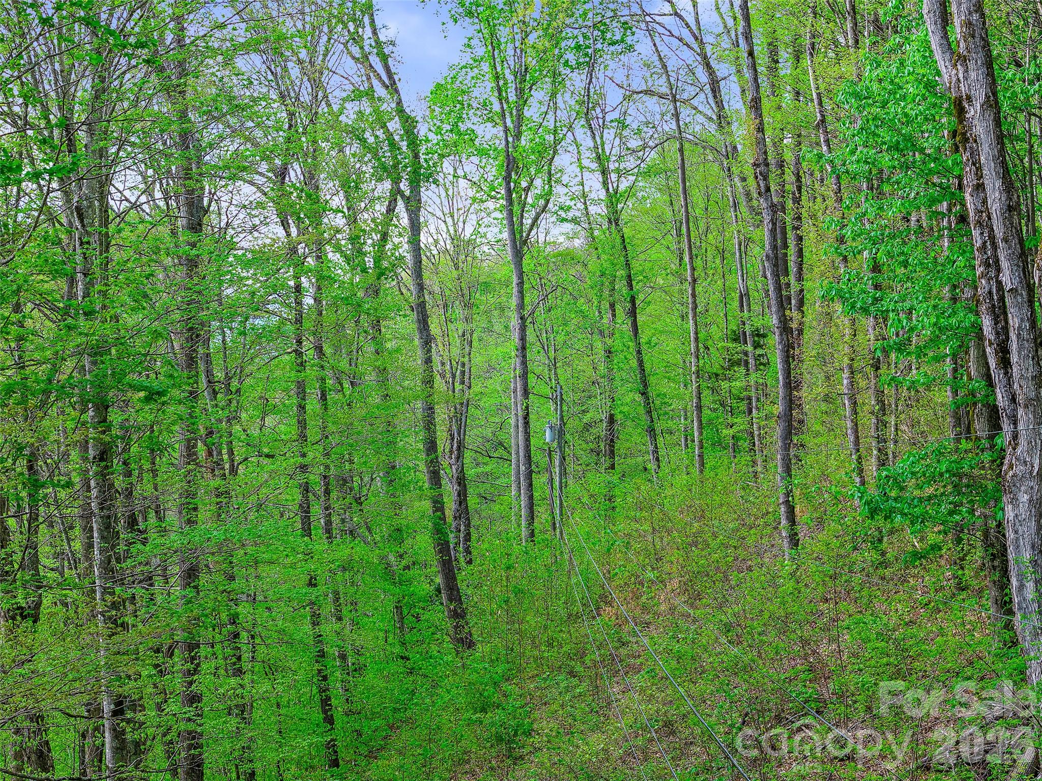 1161 Deep Gap Road Burnsville NC 28714
