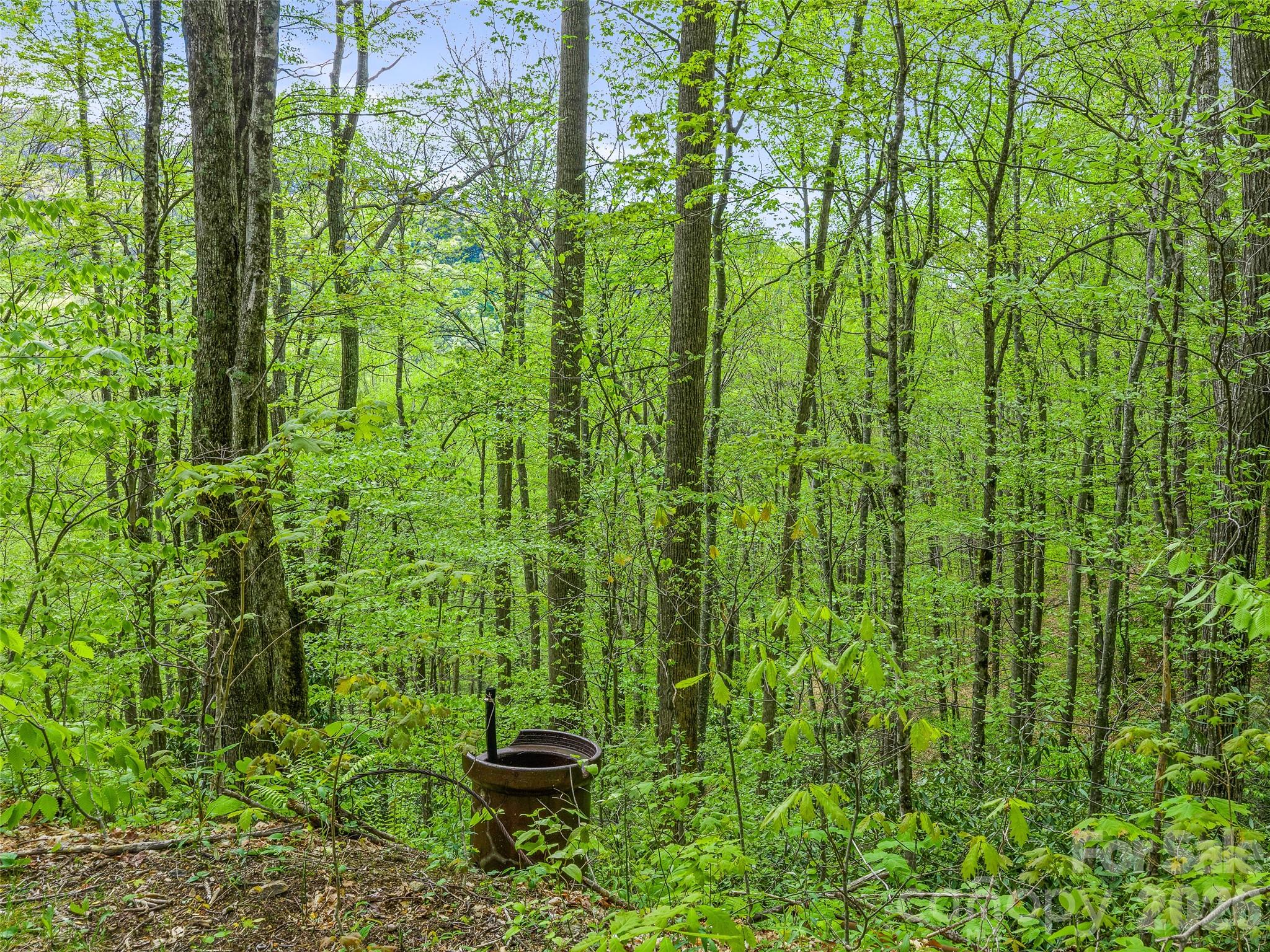 1161 Deep Gap Road Burnsville NC 28714