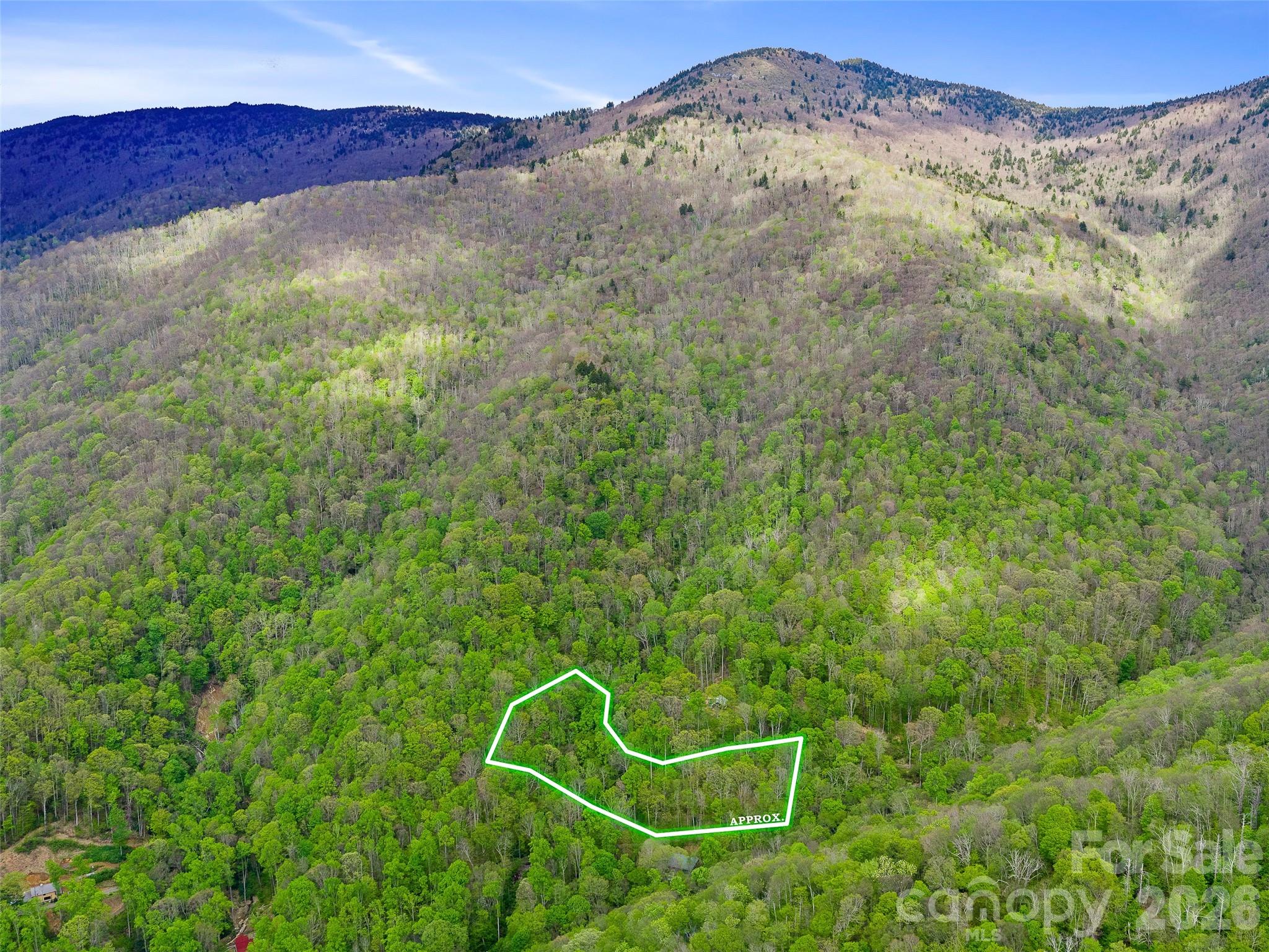 1161 Deep Gap Road Burnsville NC 28714