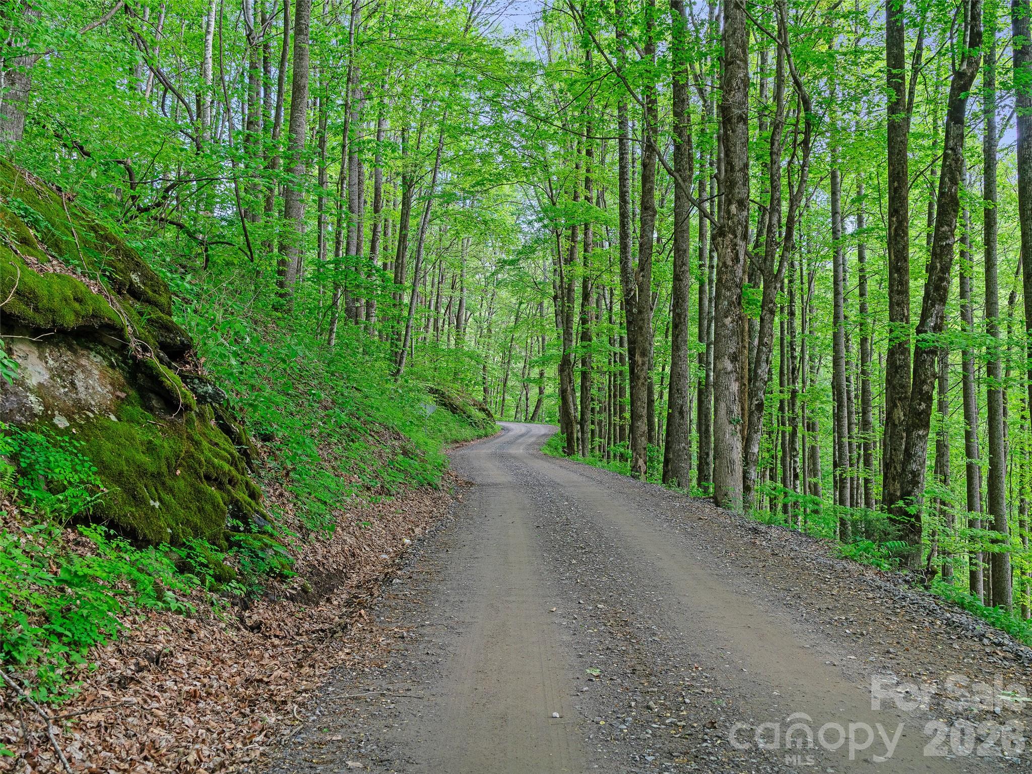 1161 Deep Gap Road Burnsville NC 28714