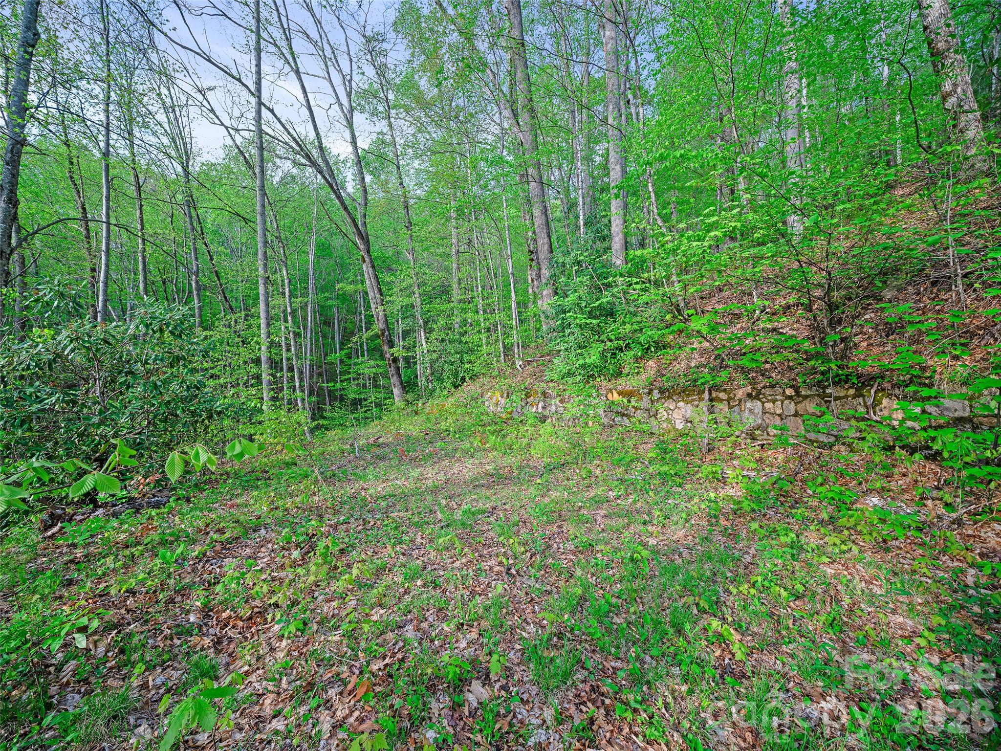 1161 Deep Gap Road Burnsville NC 28714