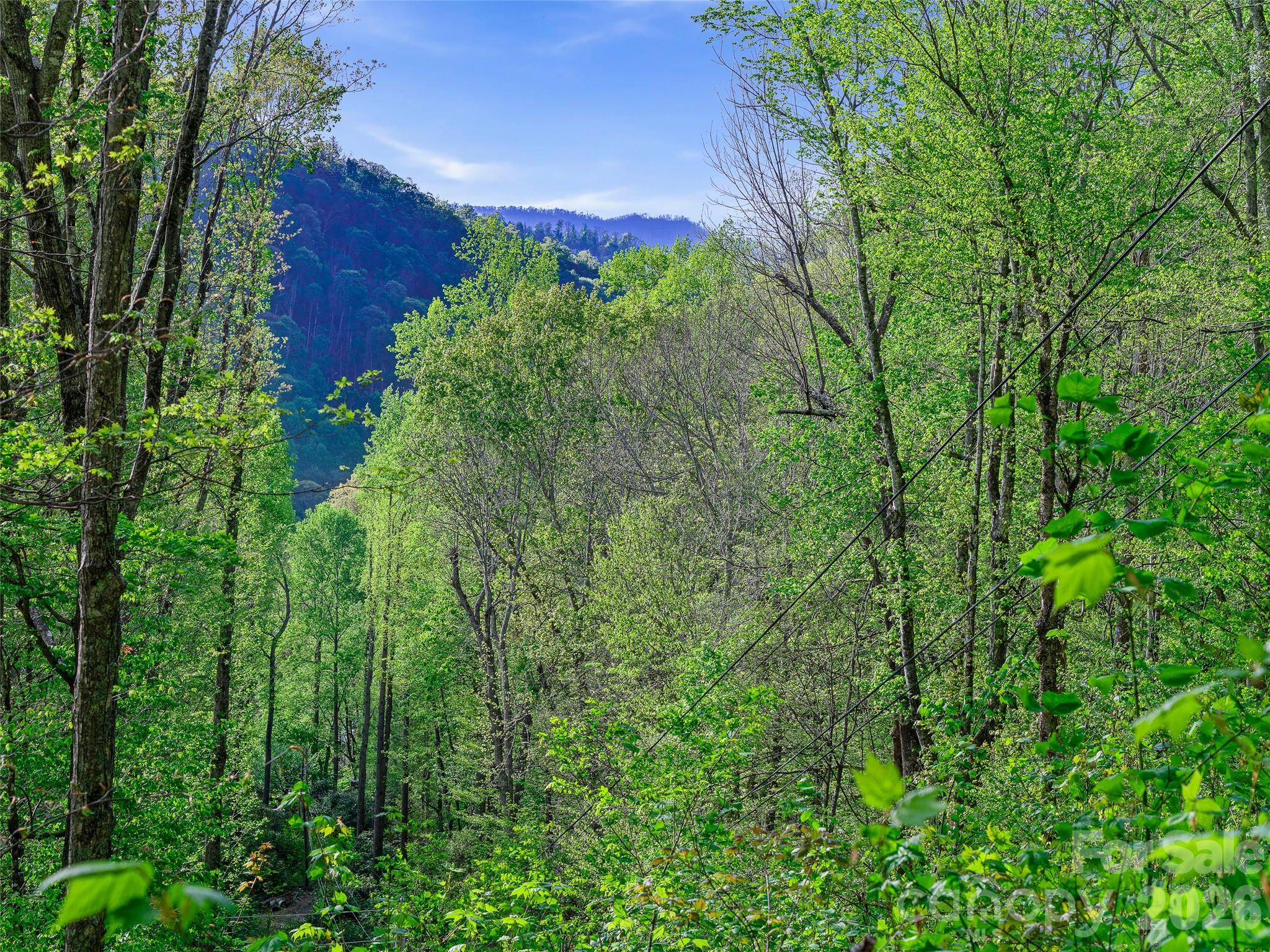 1161 Deep Gap Road Burnsville NC 28714