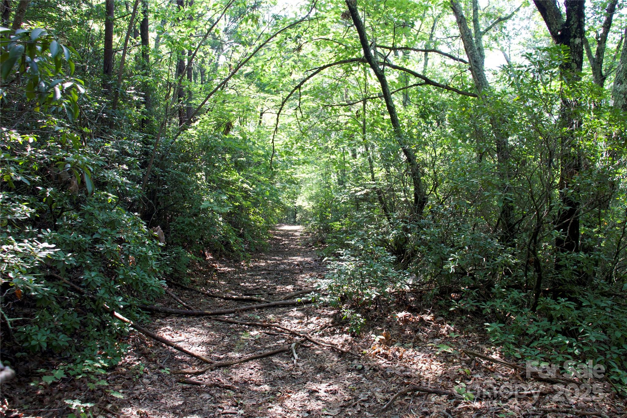 0 Mountain Lookout Drive Bostic NC 28018