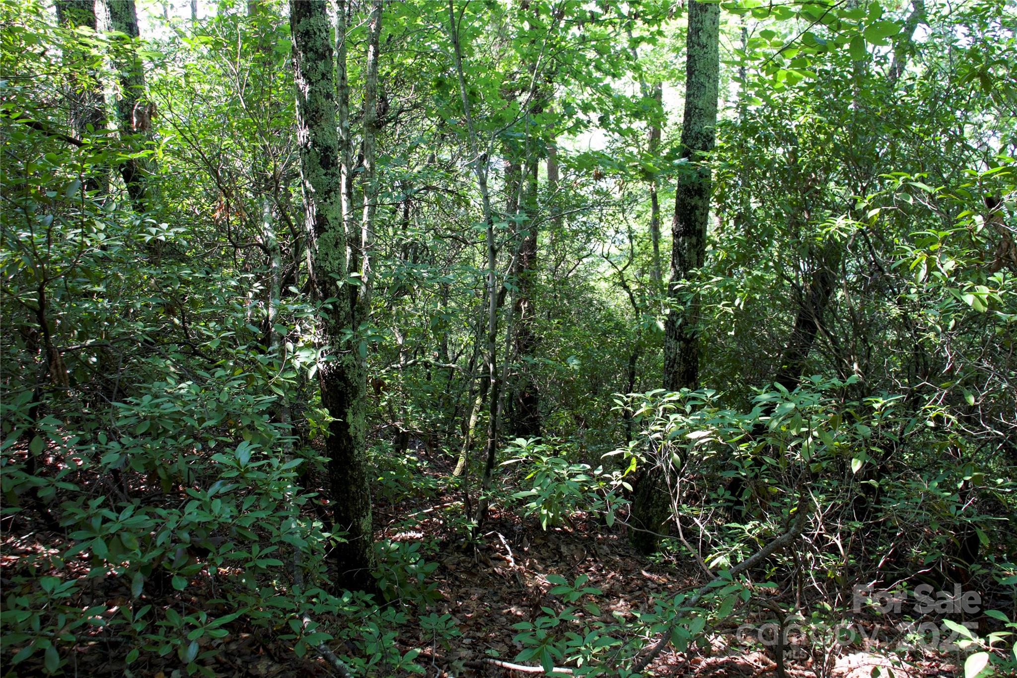 0 Mountain Lookout Drive Bostic NC 28018