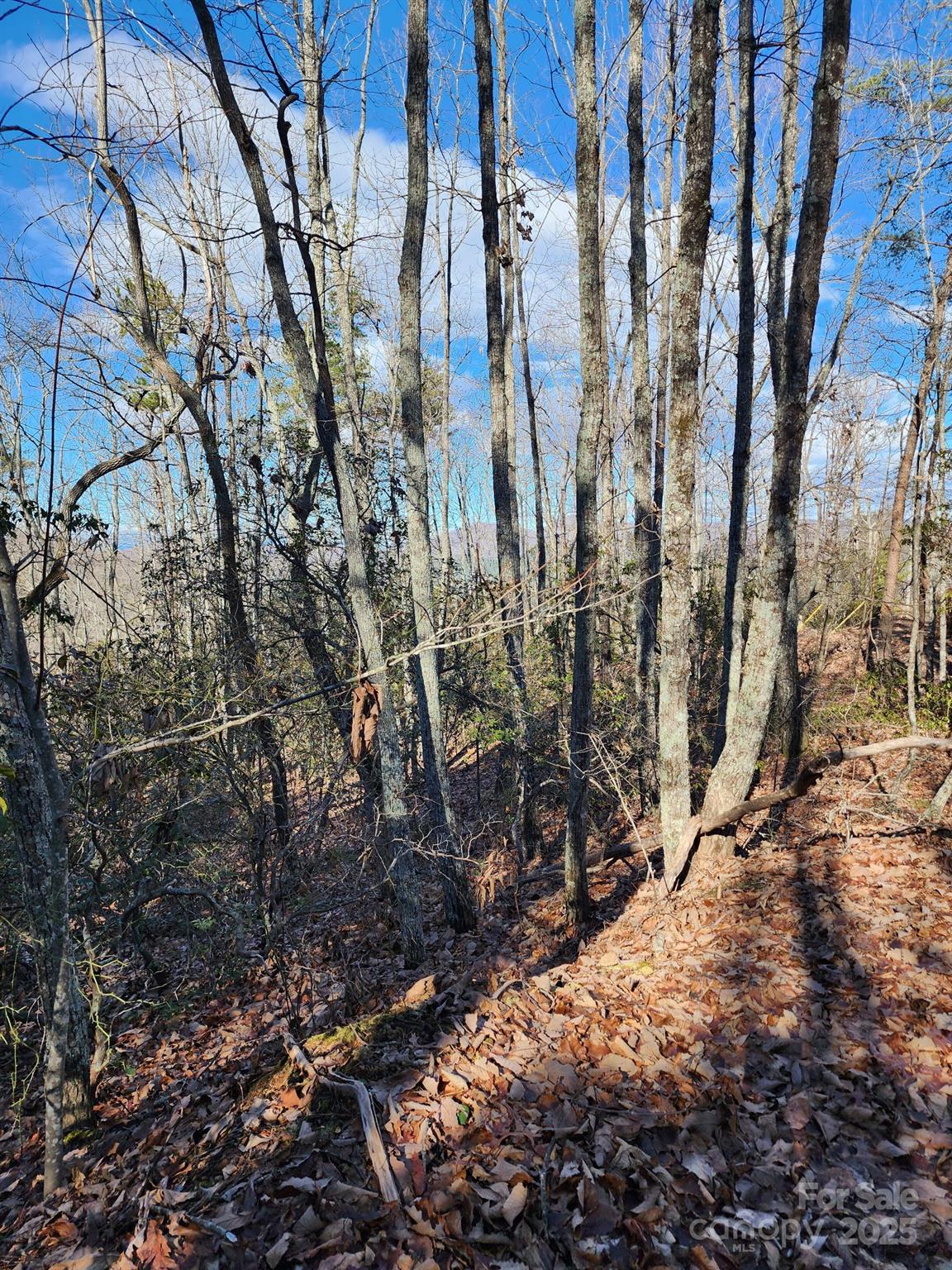 0 Mountain Lookout Drive Bostic NC 28018