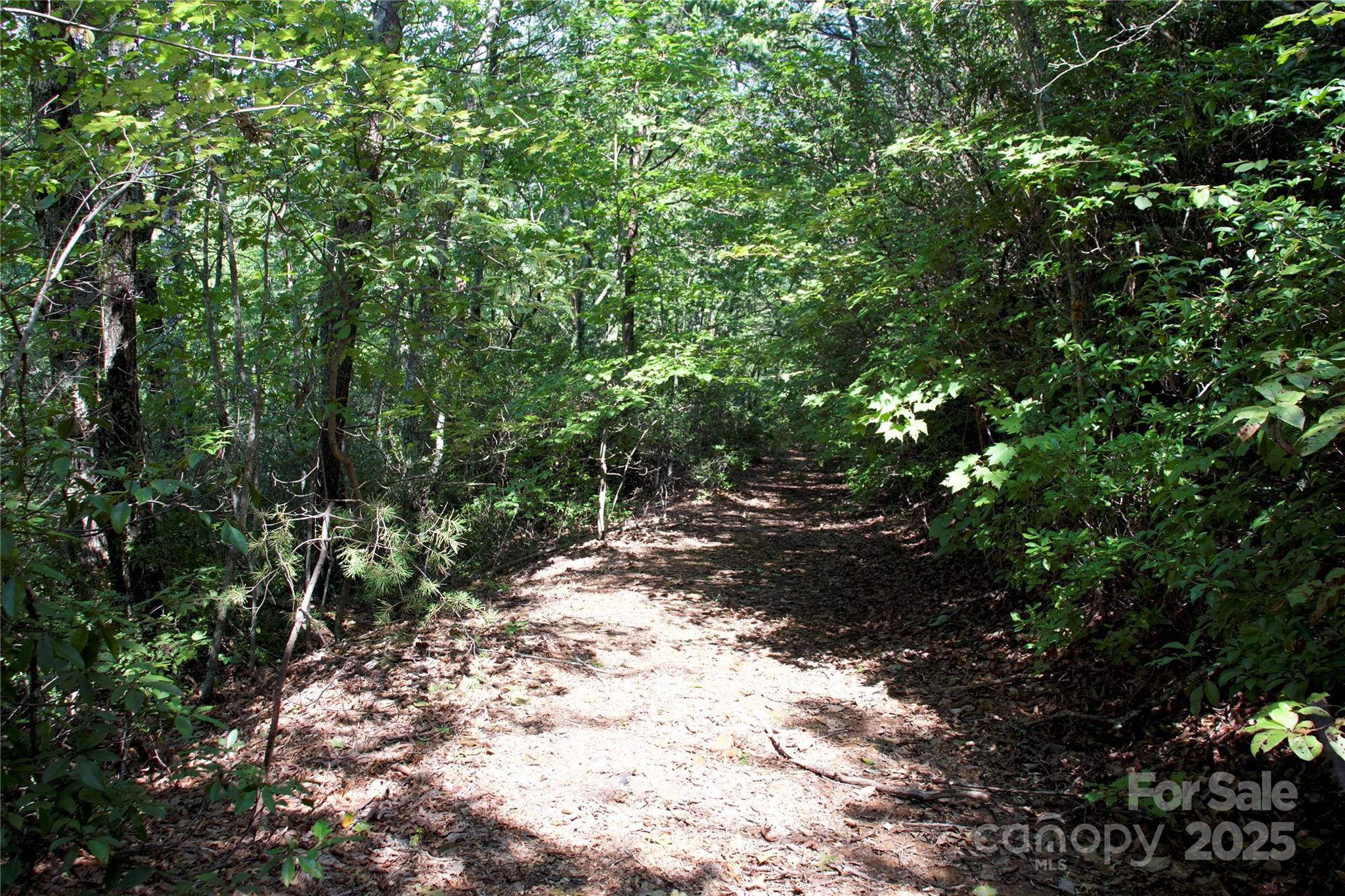 0 Mountain Lookout Drive Bostic NC 28018