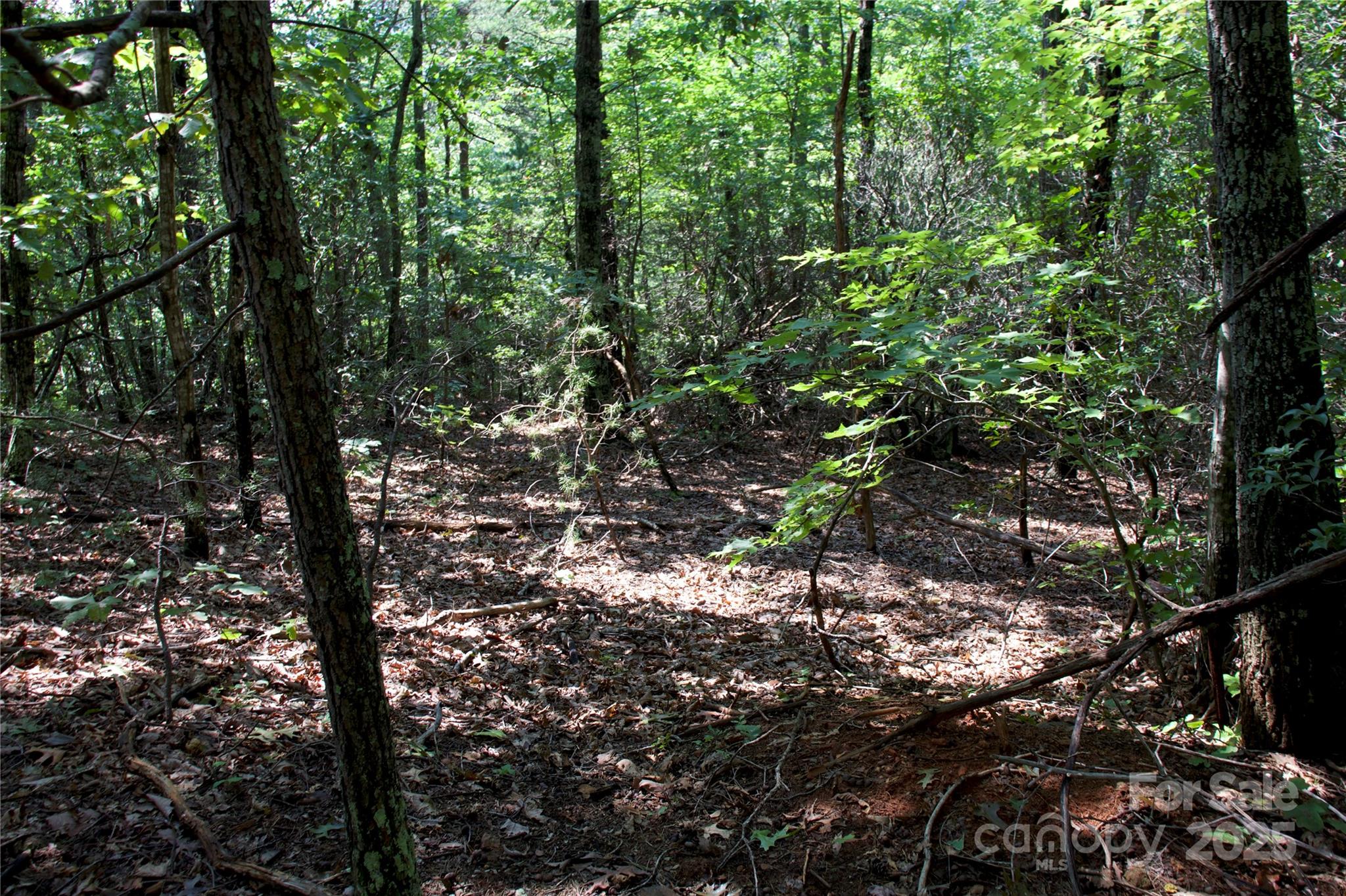 0 Mountain Lookout Drive Bostic NC 28018
