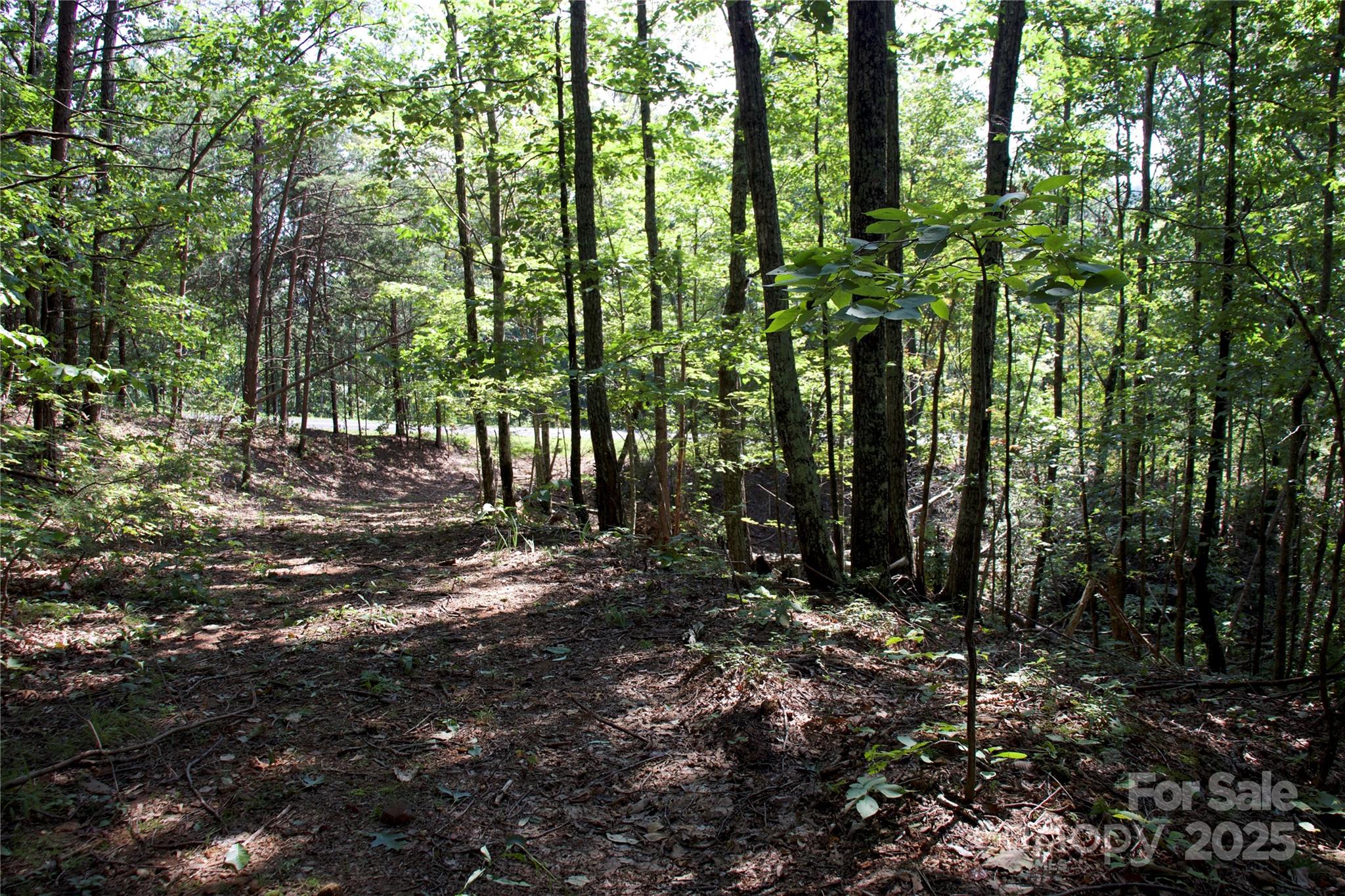 0 Mountain Lookout Drive Bostic NC 28018