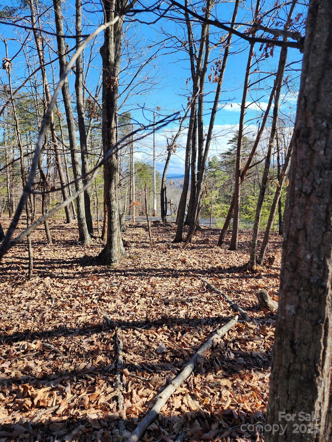 0 Mountain Lookout Drive Bostic NC 28018