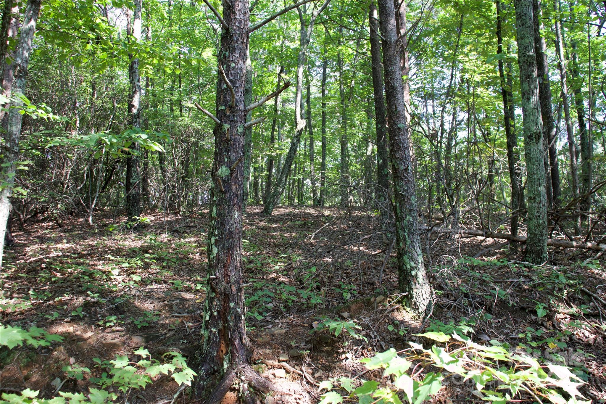0 Mountain Lookout Drive Bostic NC 28018