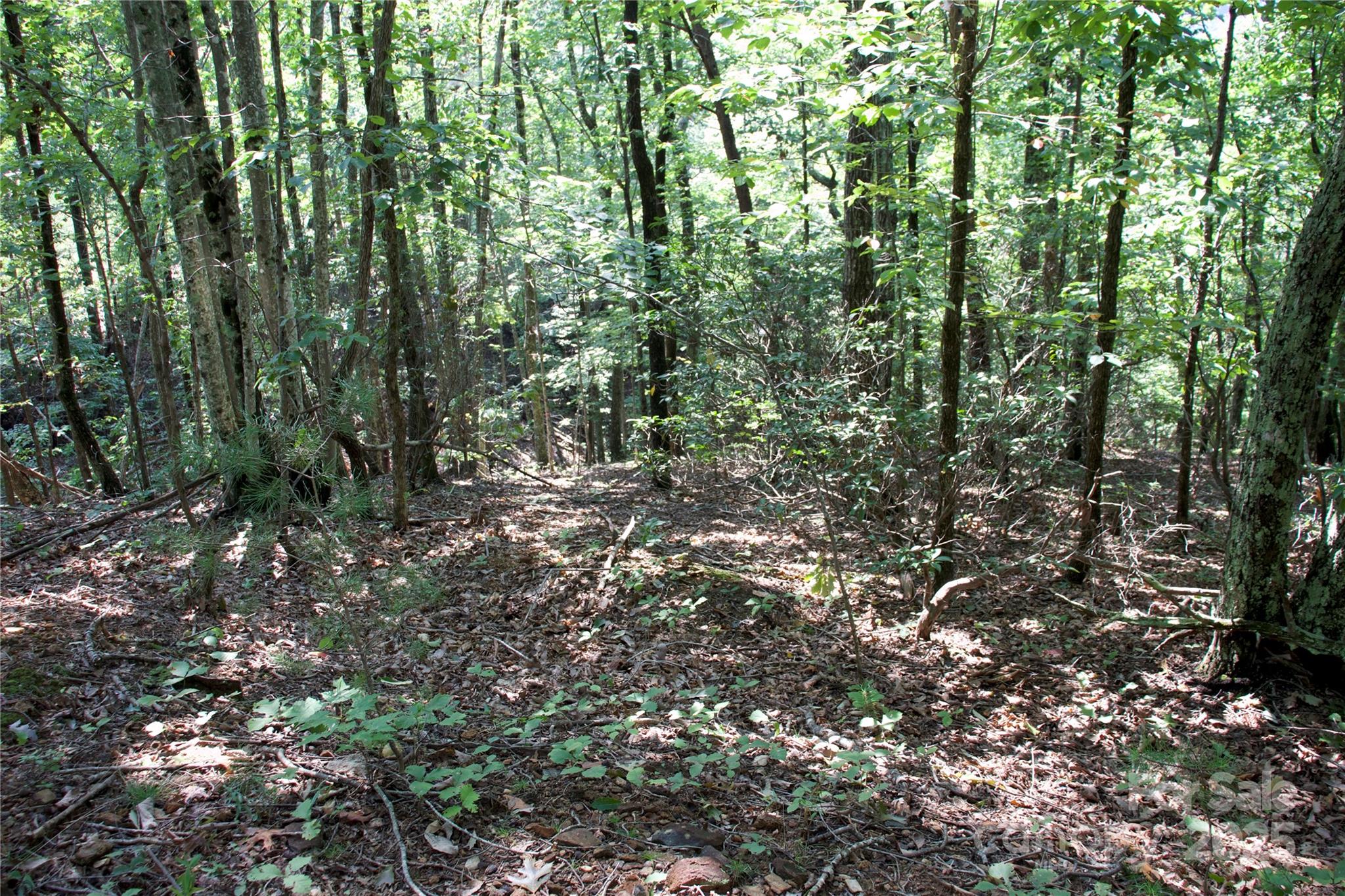 0 Mountain Lookout Drive Bostic NC 28018