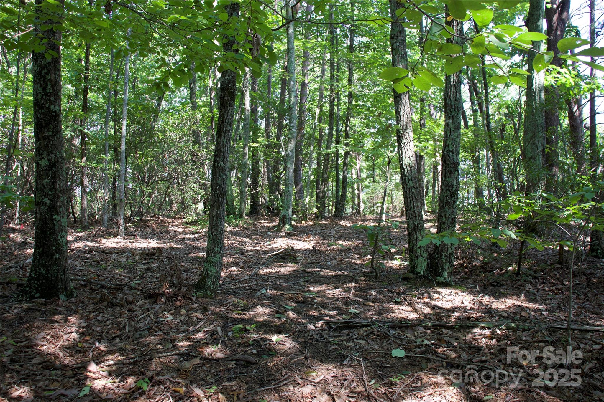 0 Mountain Lookout Drive Bostic NC 28018