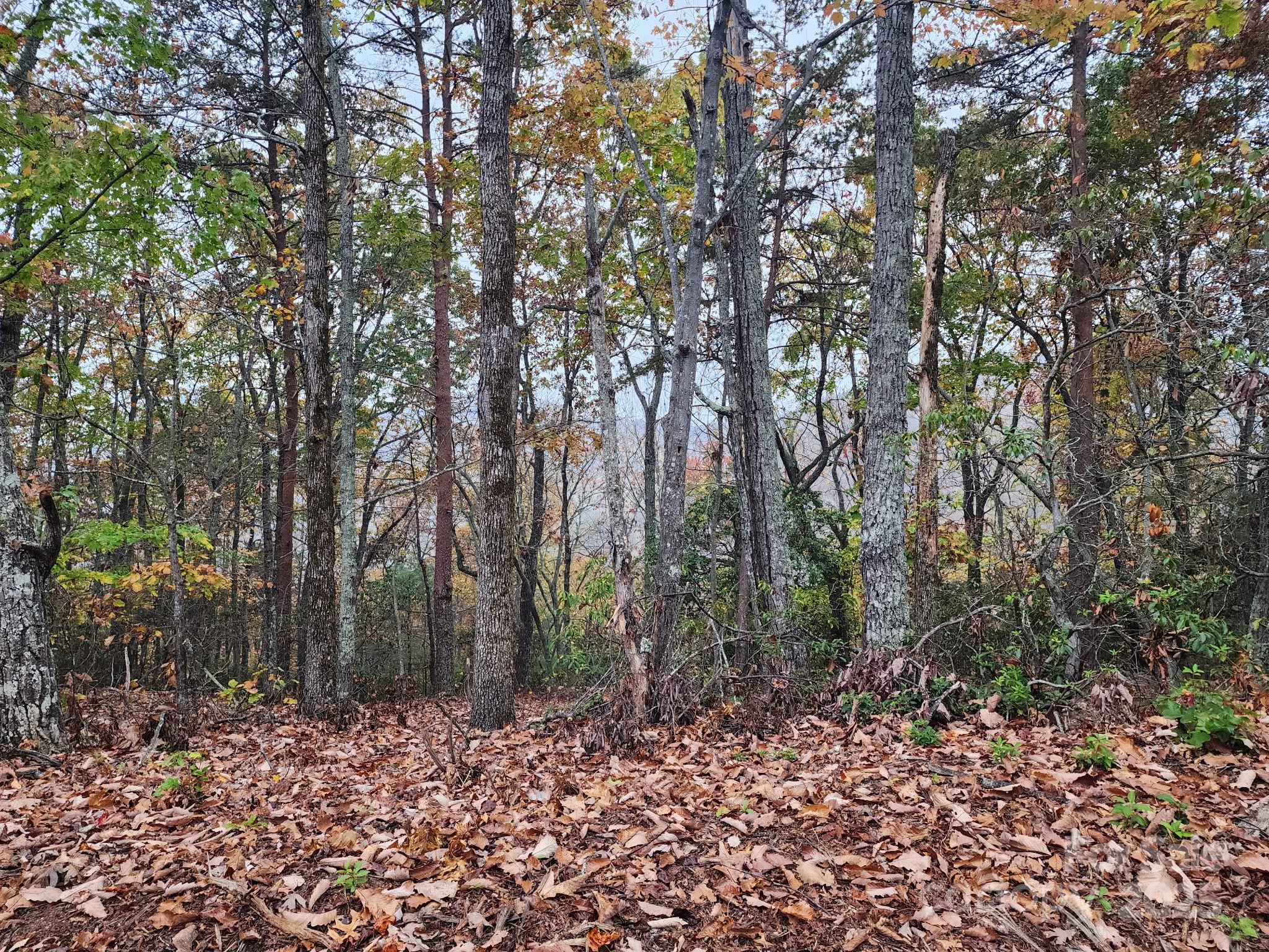 0 Mountain Lookout Drive Bostic NC 28018