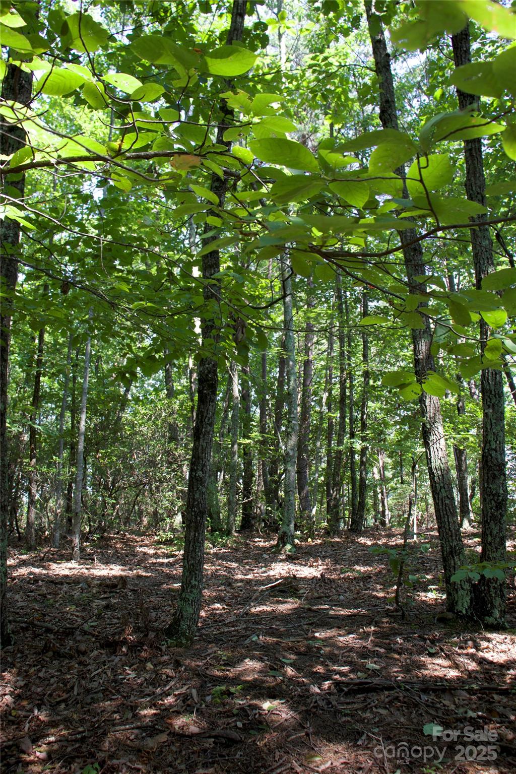 0 Mountain Lookout Drive Bostic NC 28018
