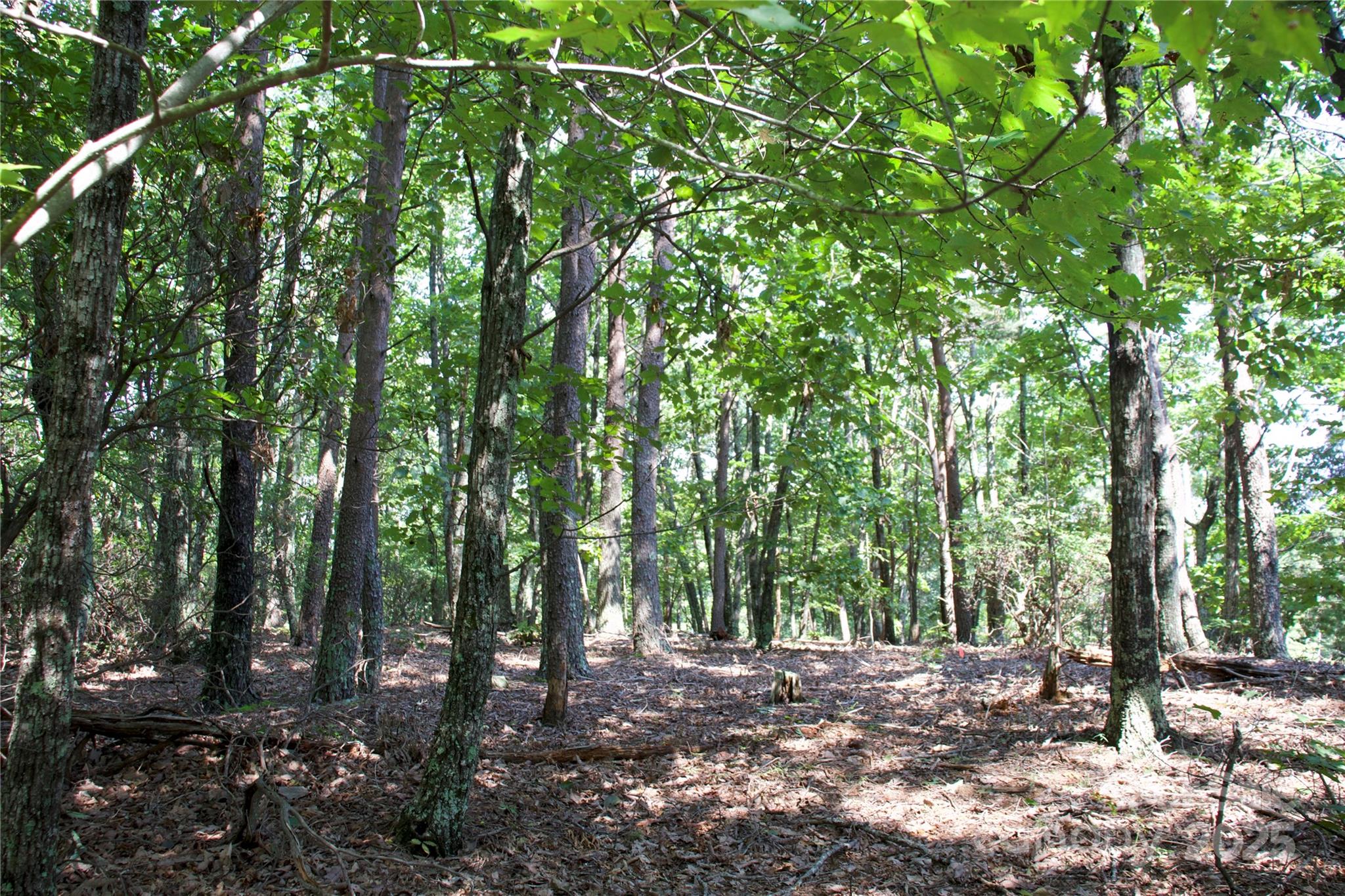 0 Mountain Lookout Drive Bostic NC 28018