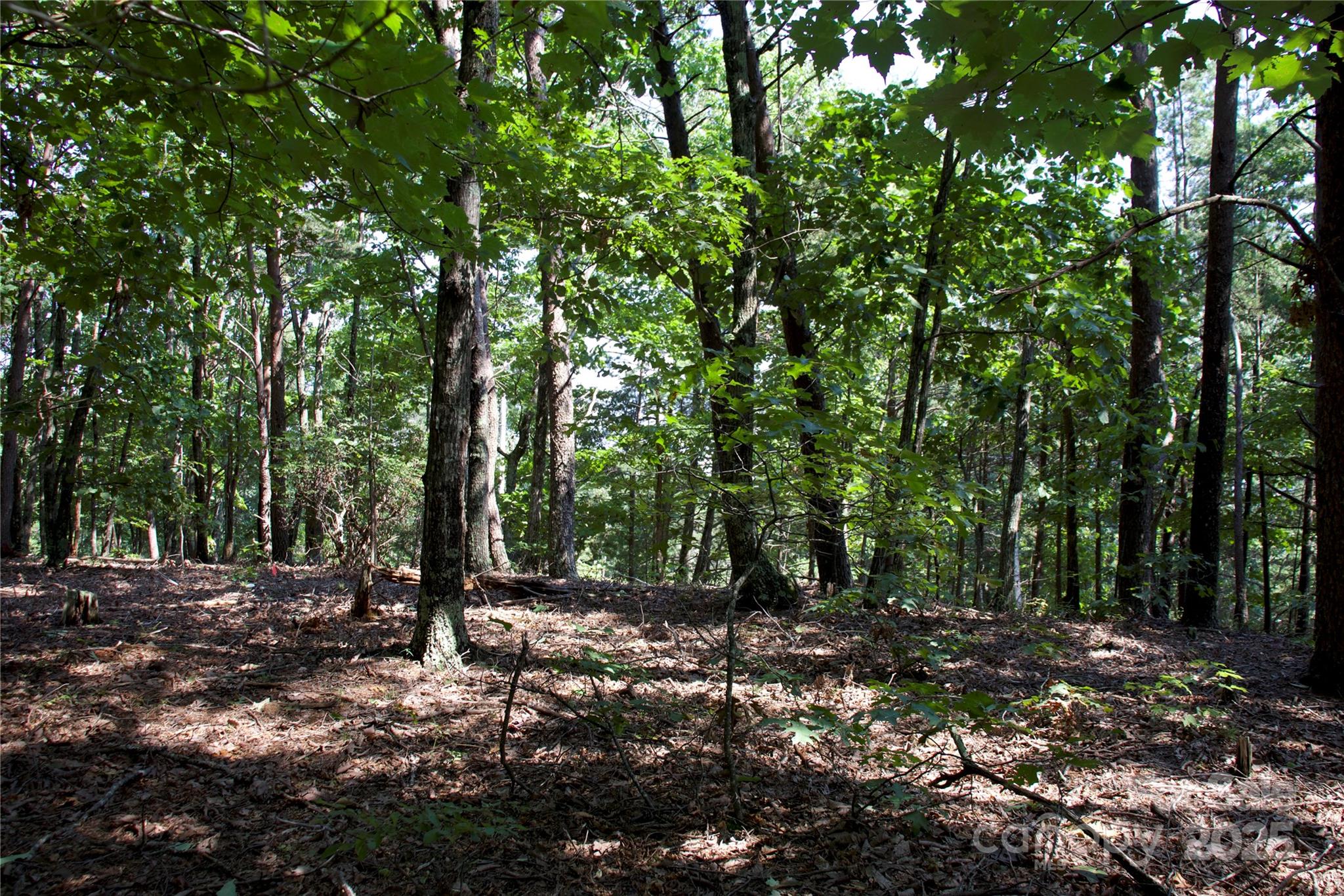 0 Mountain Lookout Drive Bostic NC 28018