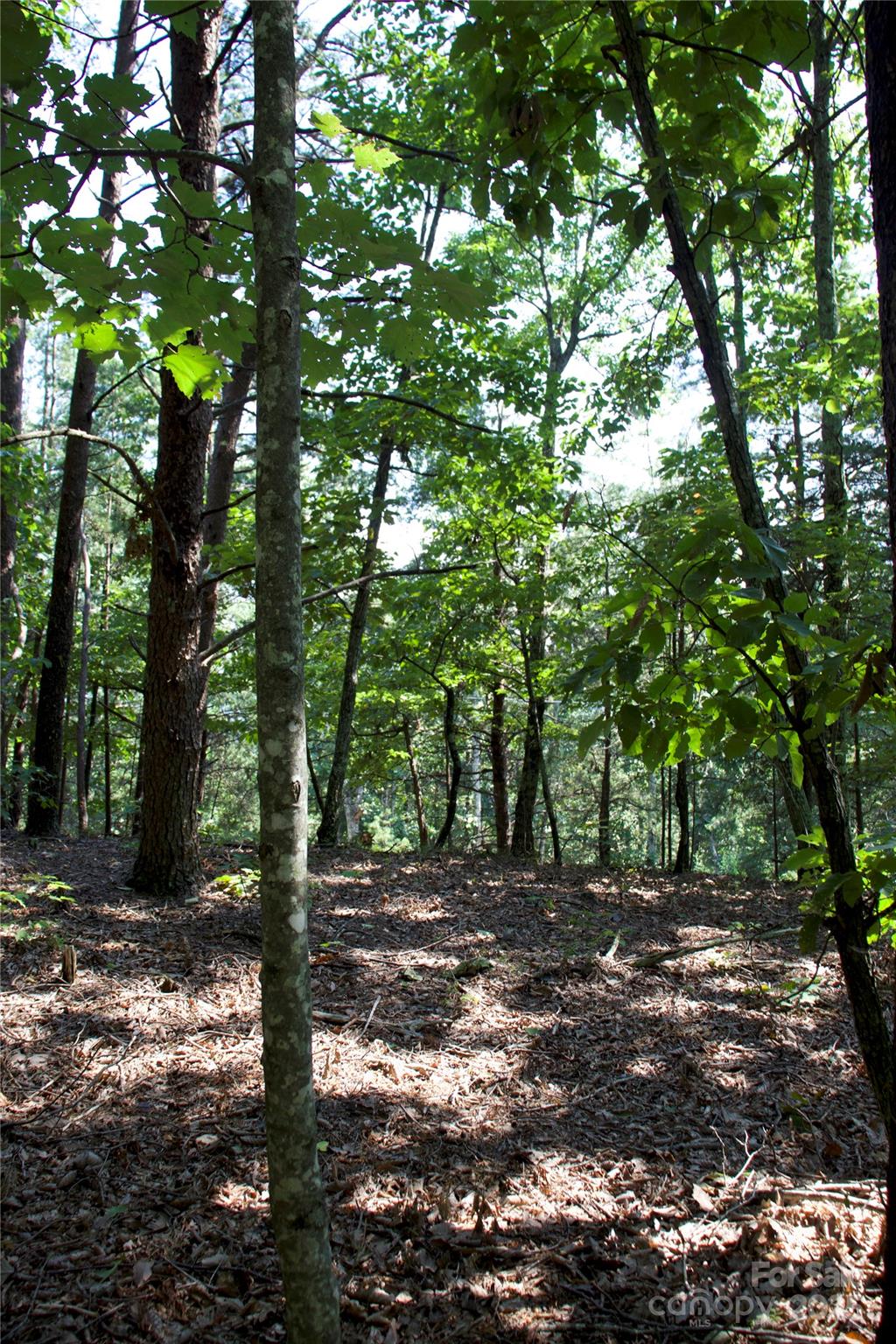 0 Mountain Lookout Drive Bostic NC 28018