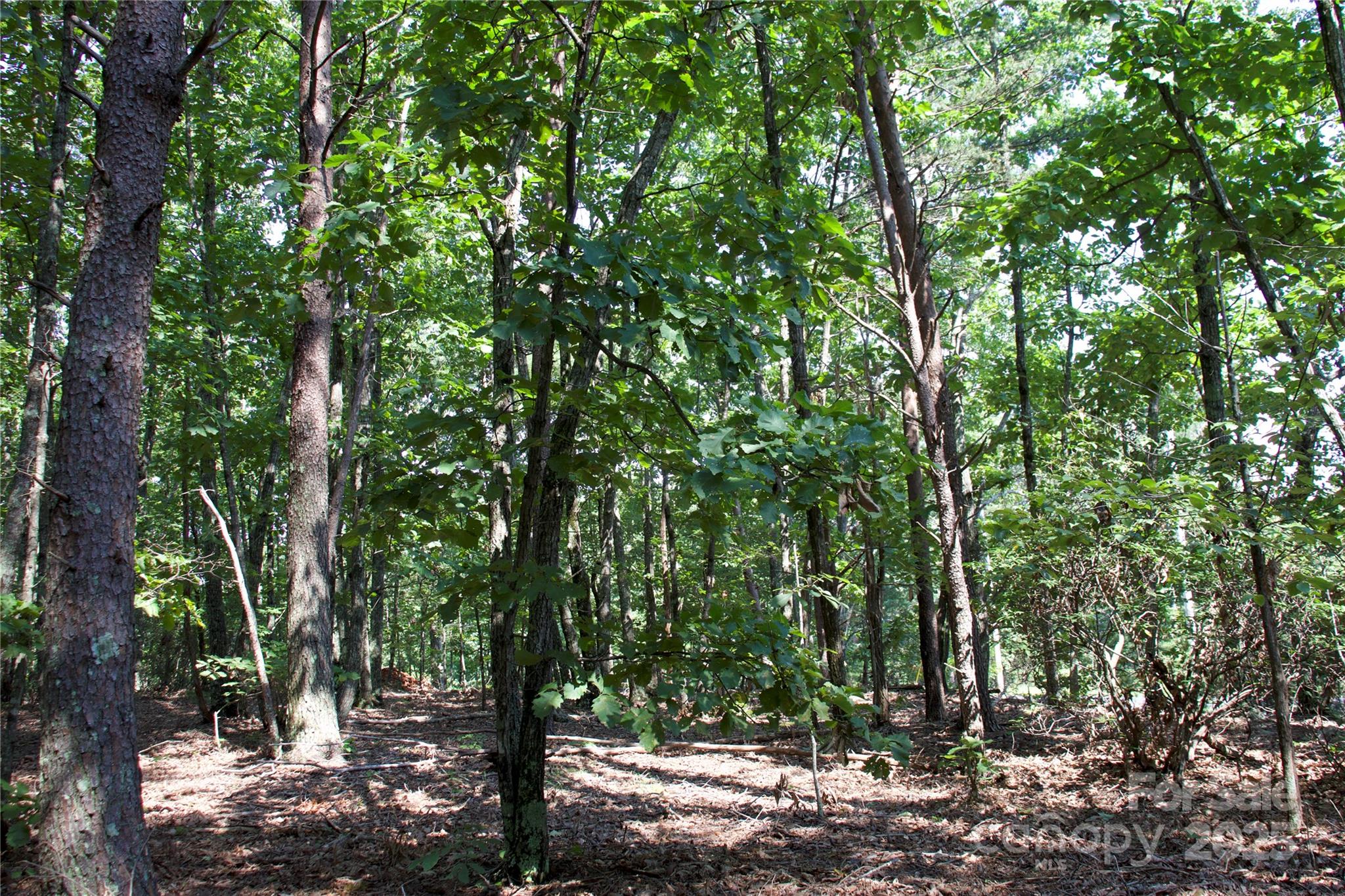 0 Mountain Lookout Drive Bostic NC 28018