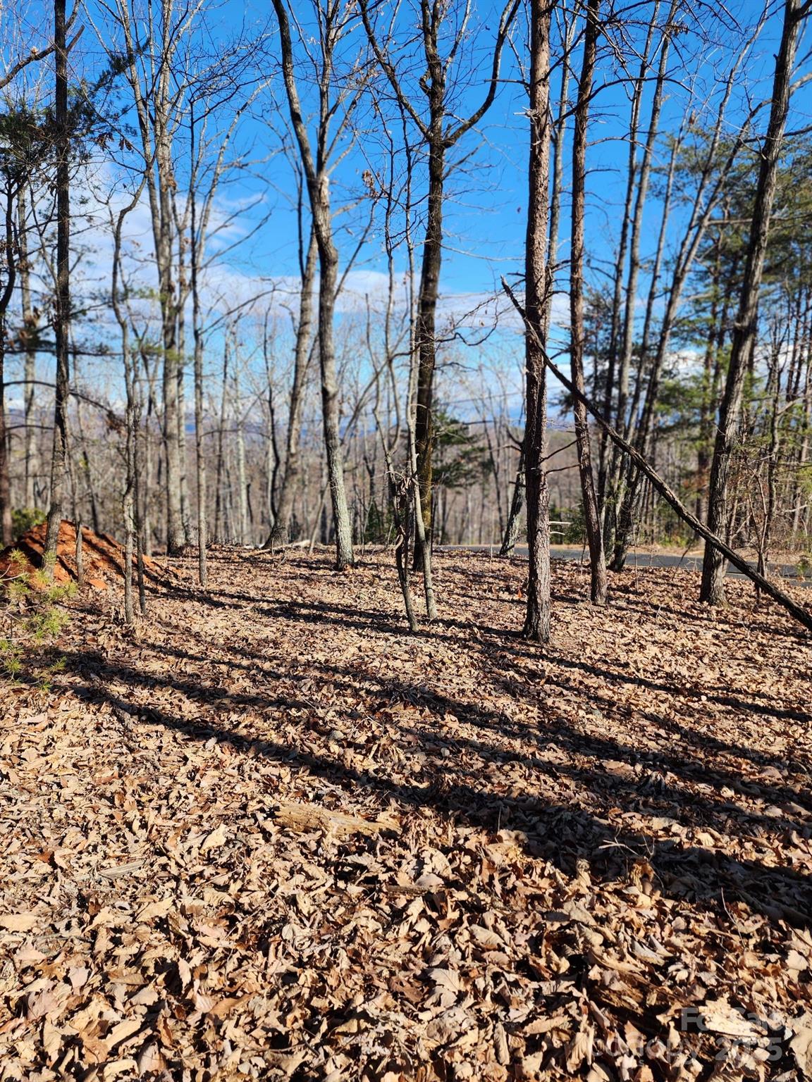 0 Mountain Lookout Drive Bostic NC 28018