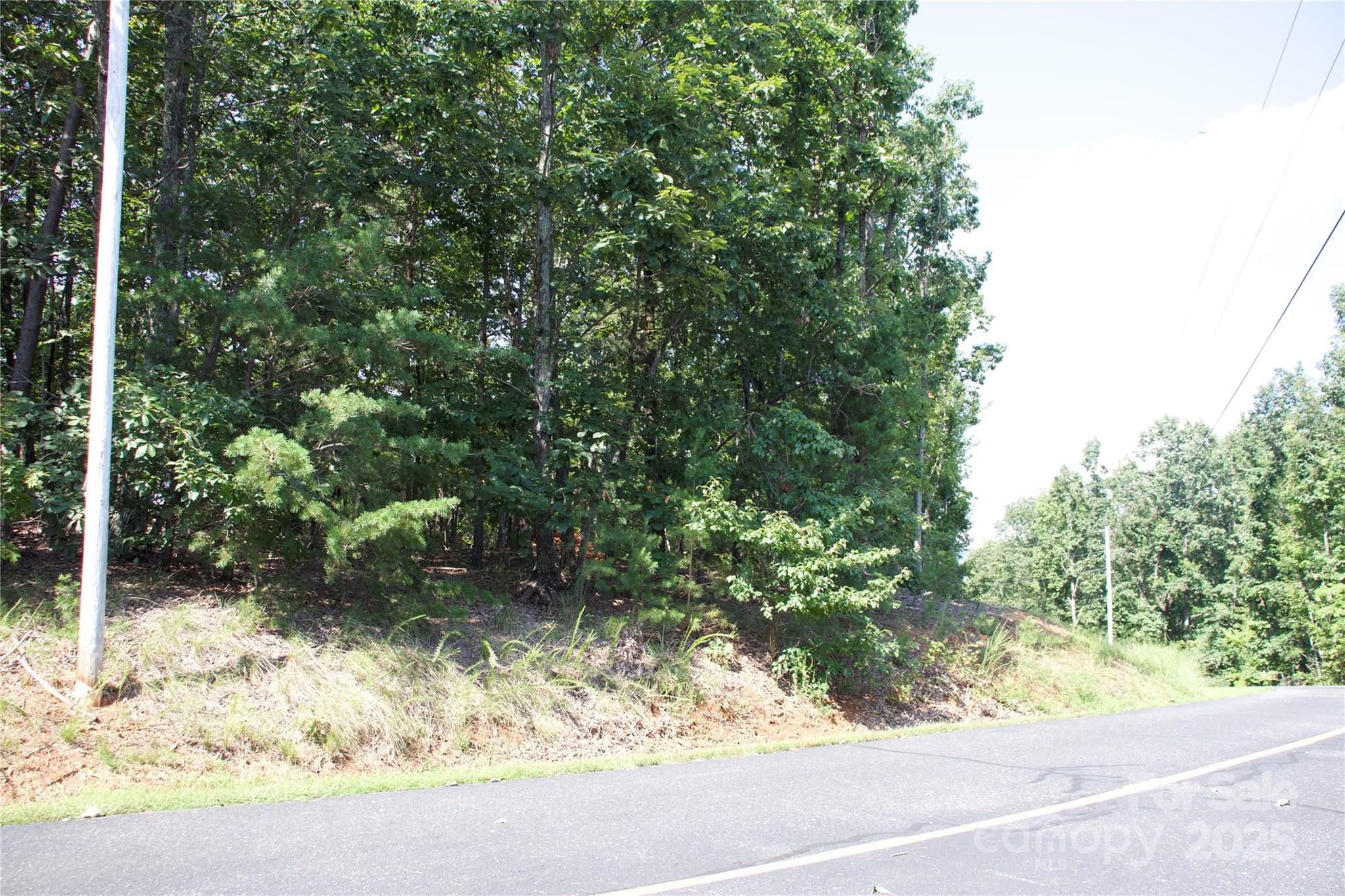 0 Mountain Lookout Drive Bostic NC 28018