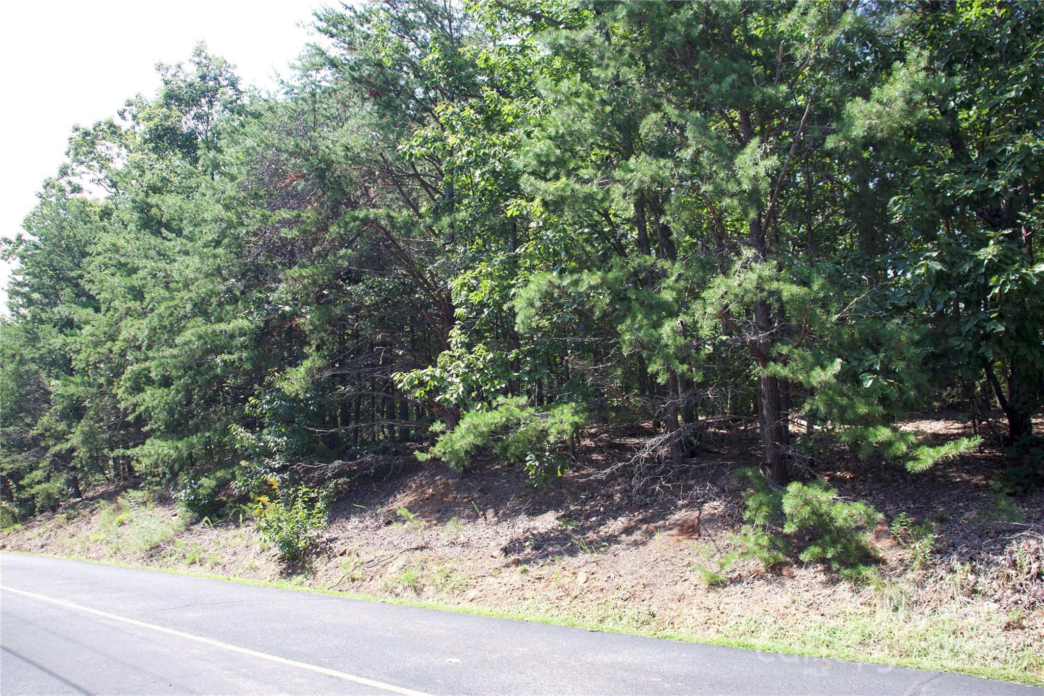 0 Mountain Lookout Drive Bostic NC 28018