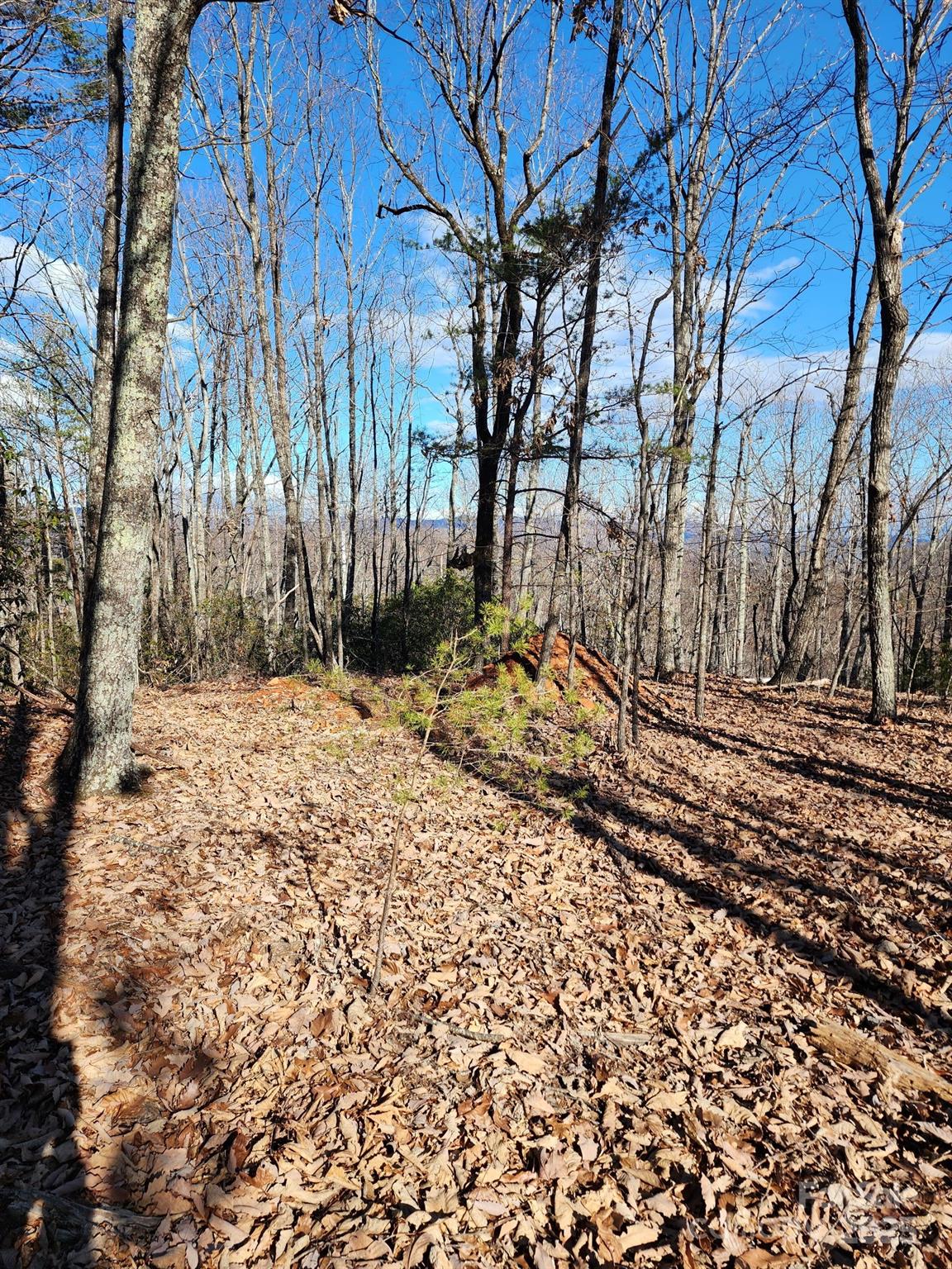 0 Mountain Lookout Drive Bostic NC 28018