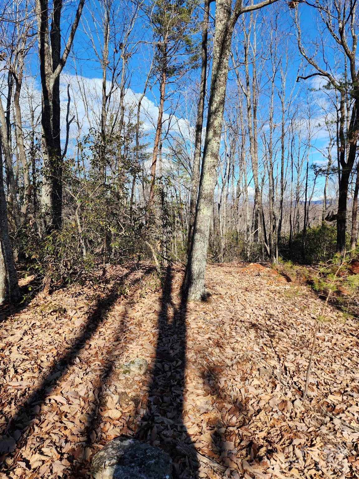 0 Mountain Lookout Drive Bostic NC 28018