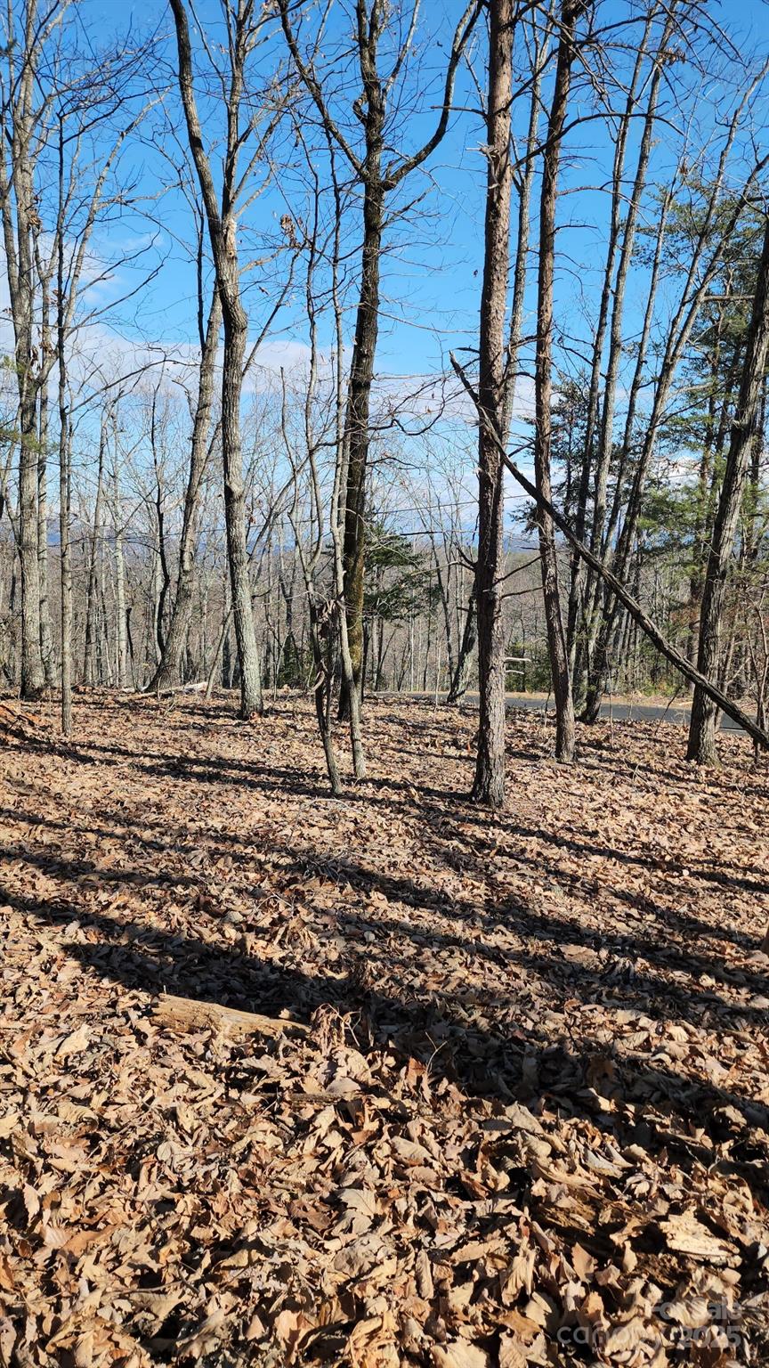 0 Mountain Lookout Drive Bostic NC 28018