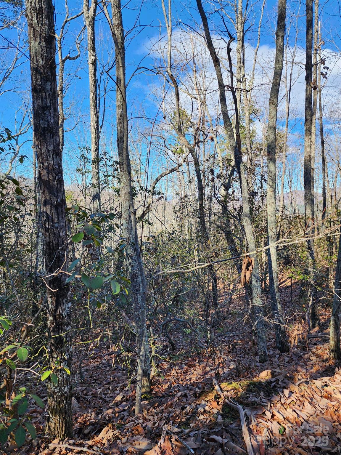 0 Mountain Lookout Drive Bostic NC 28018