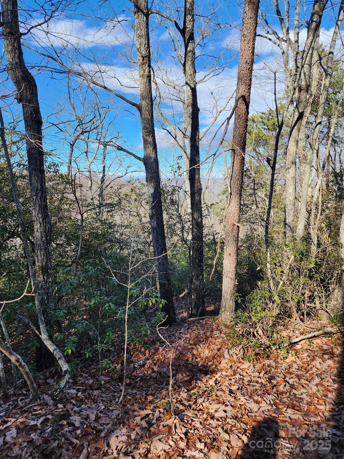0 Mountain Lookout Drive Bostic NC 28018
