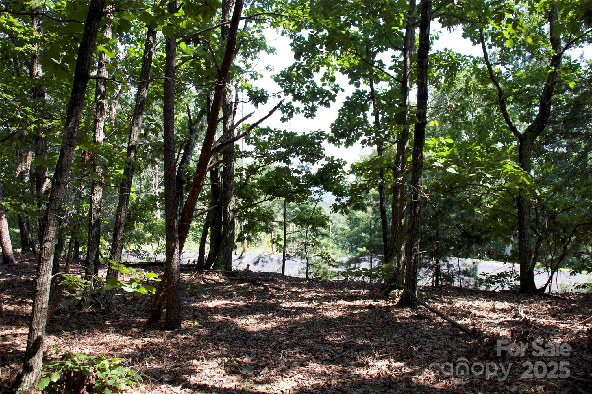 0 Mountain Lookout Drive Bostic NC 28018