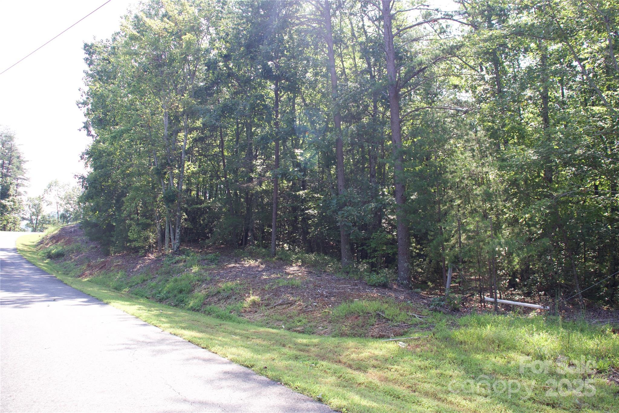 0 Mountain Lookout Drive Bostic NC 28018