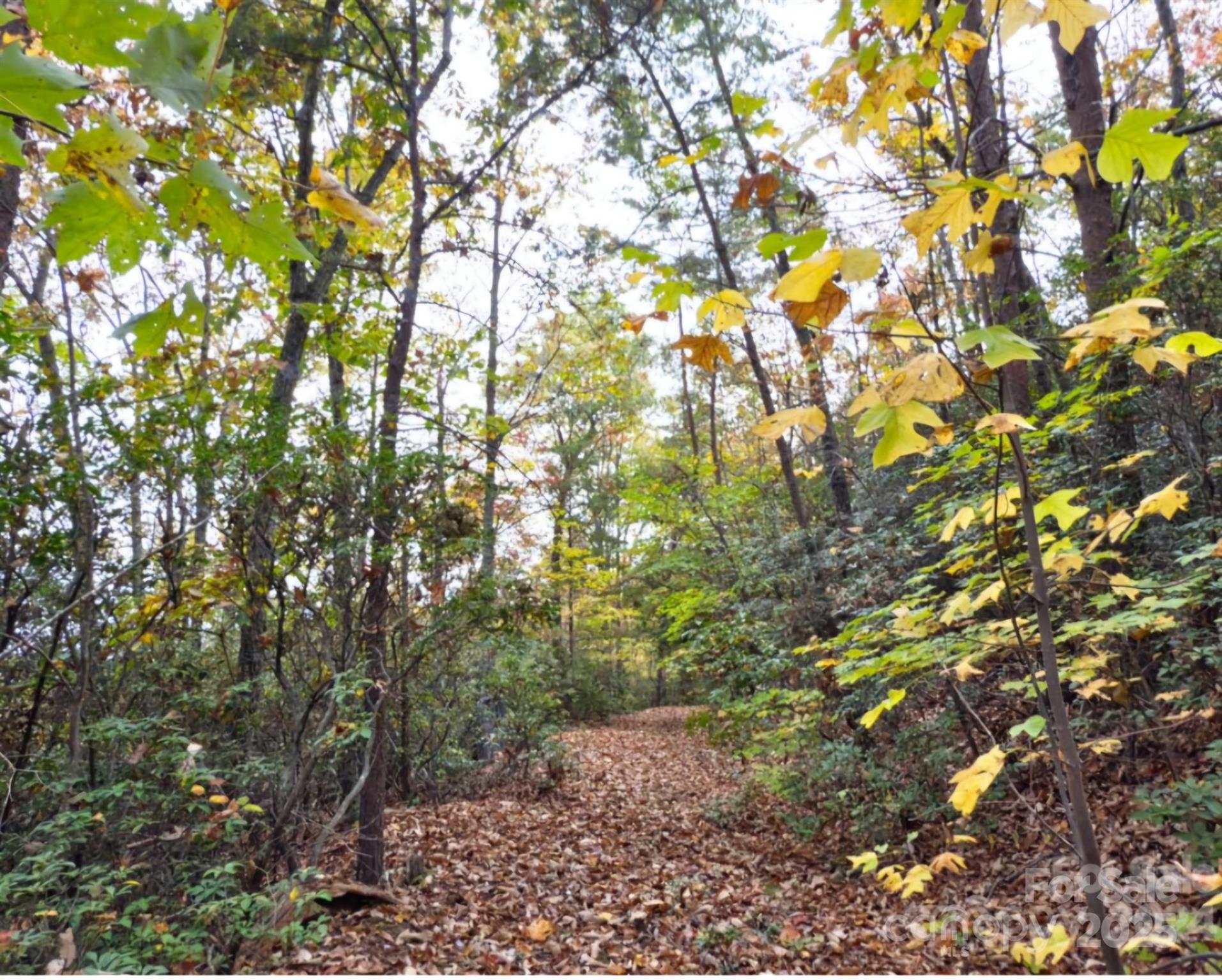 0 Mountain Lookout Drive Bostic NC 28018